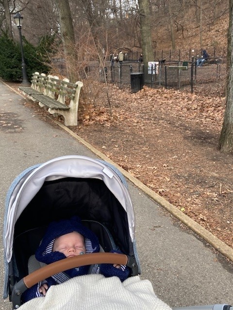 D10399ef6e4a5c6391c511cf3801600653d55b84