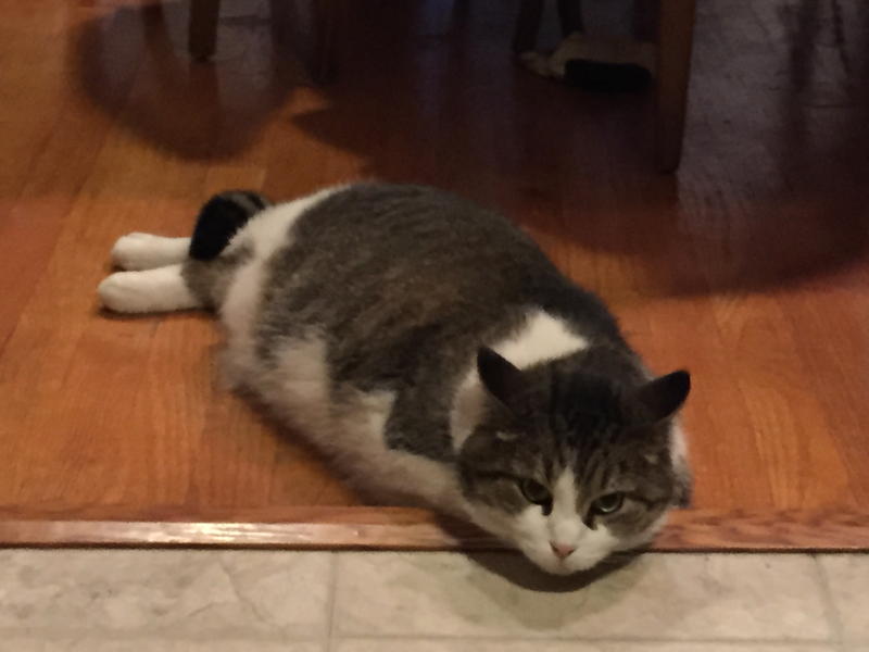 D22e4359c1d6acd9325472bf7c9c08568236421c