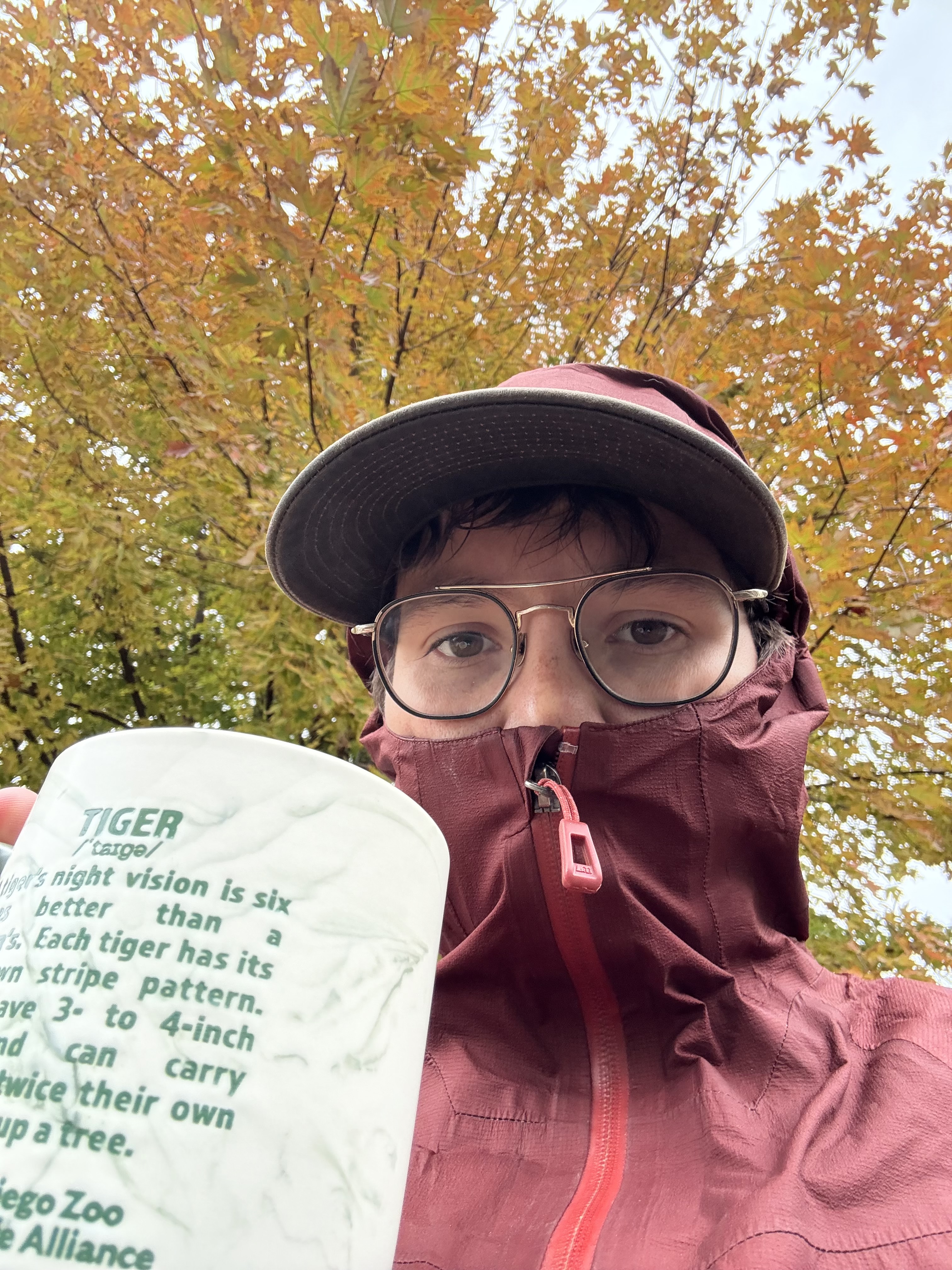 Ash's Fundraising Page