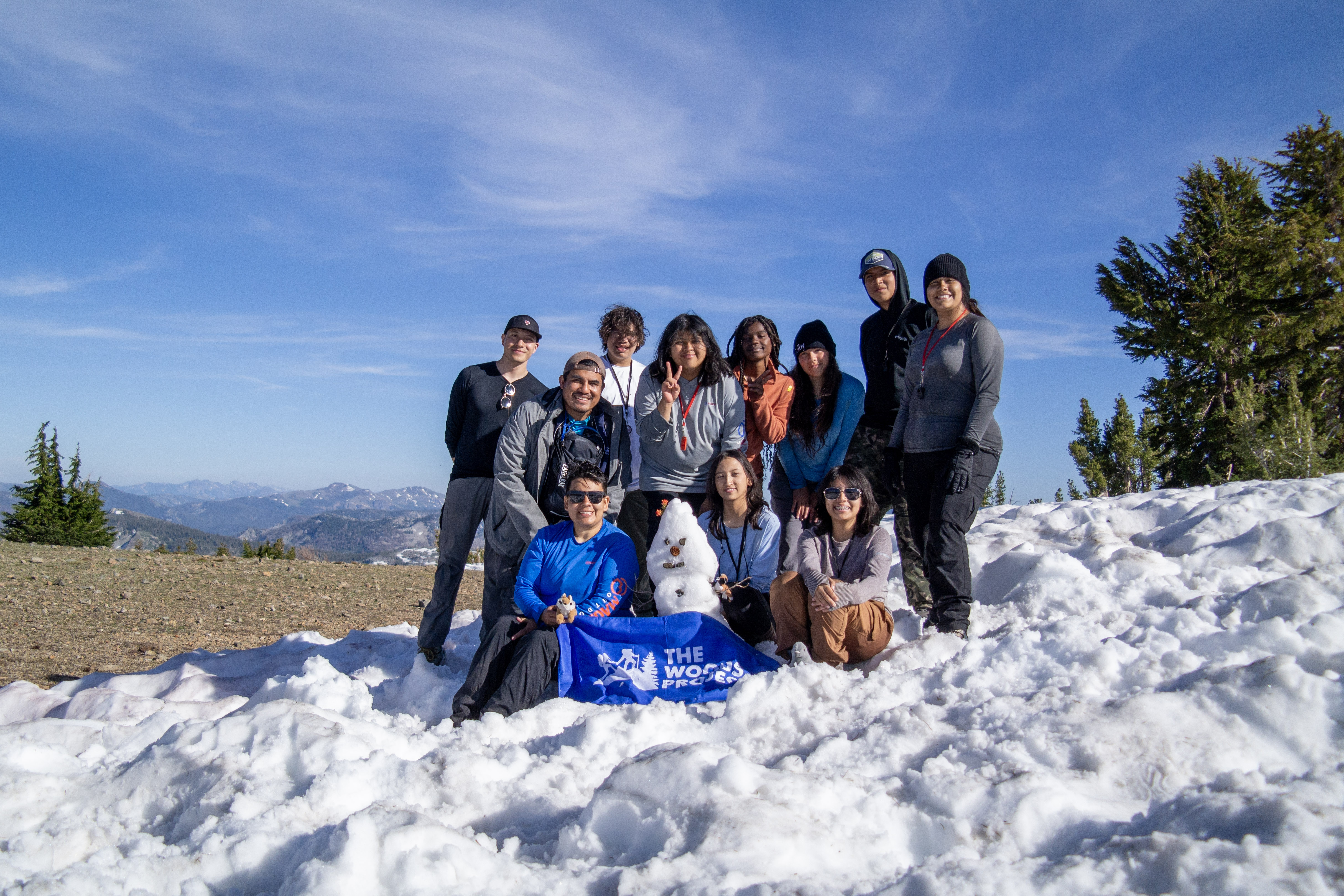 D336f9e4493a6e3947b52ef6340ede09813d2bc9