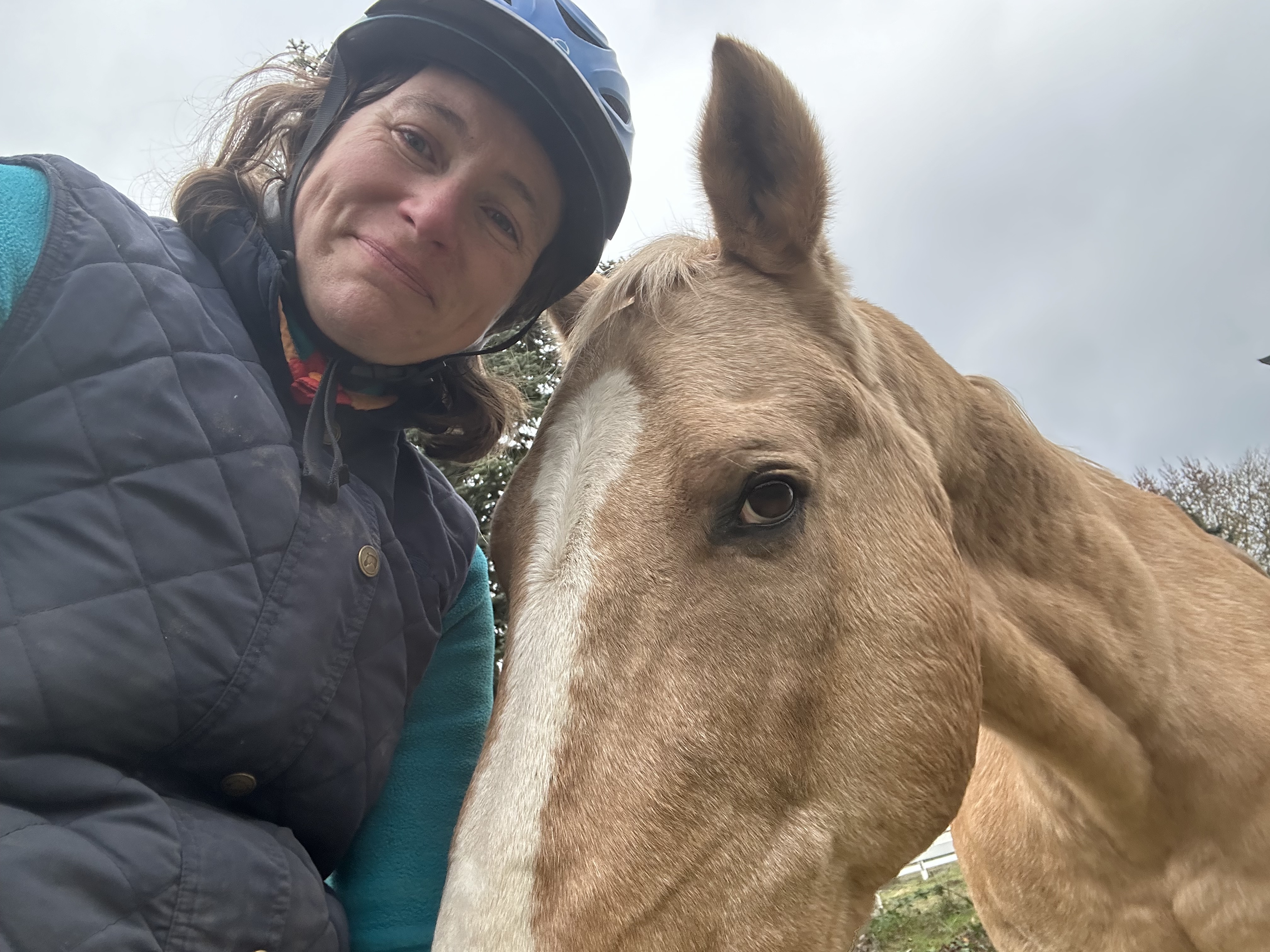 D38eb1210be5ffc85c5aaefa9ed20eb43dc544c5