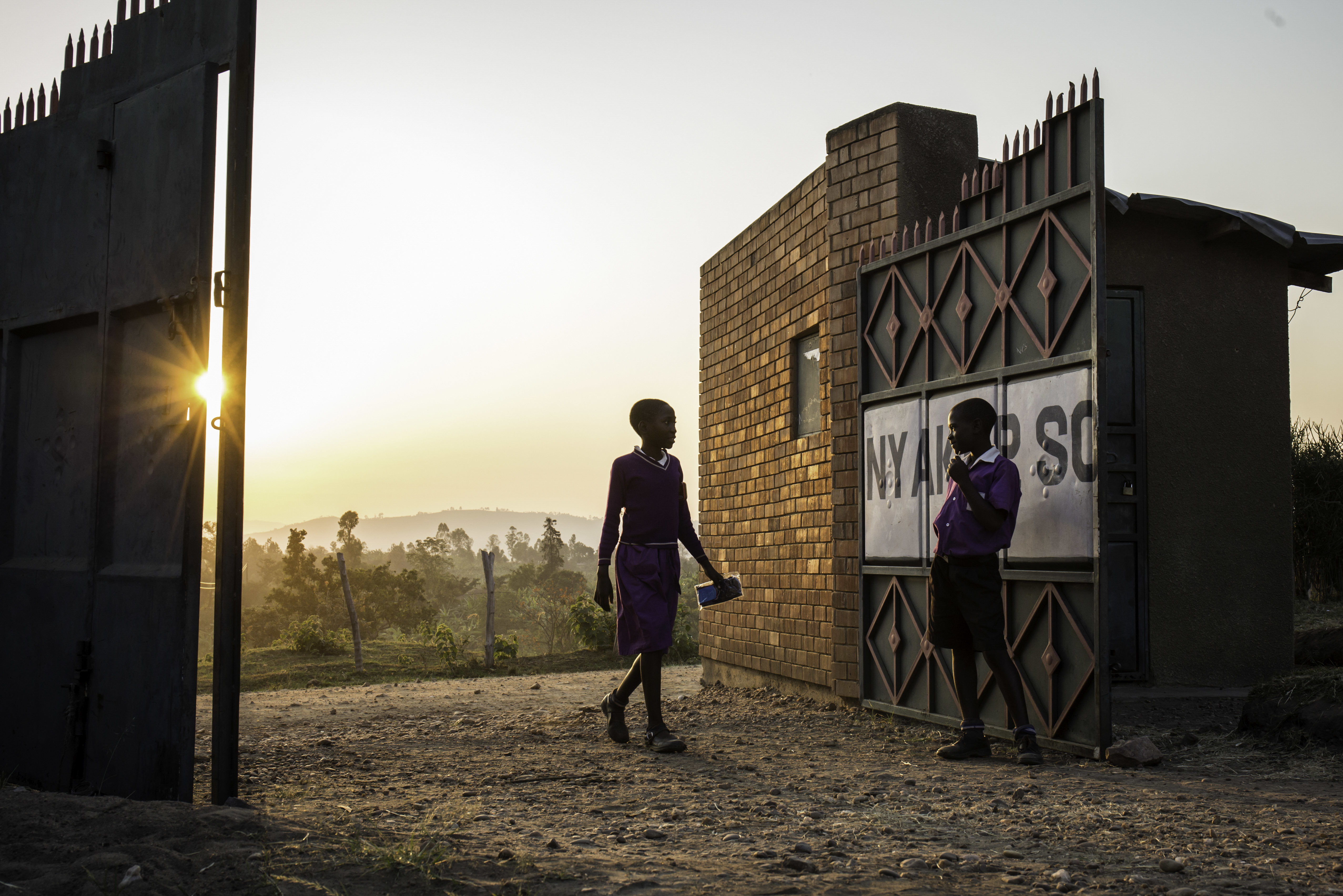 D61cb9a1304f6d64593b71df651335659cccb52f