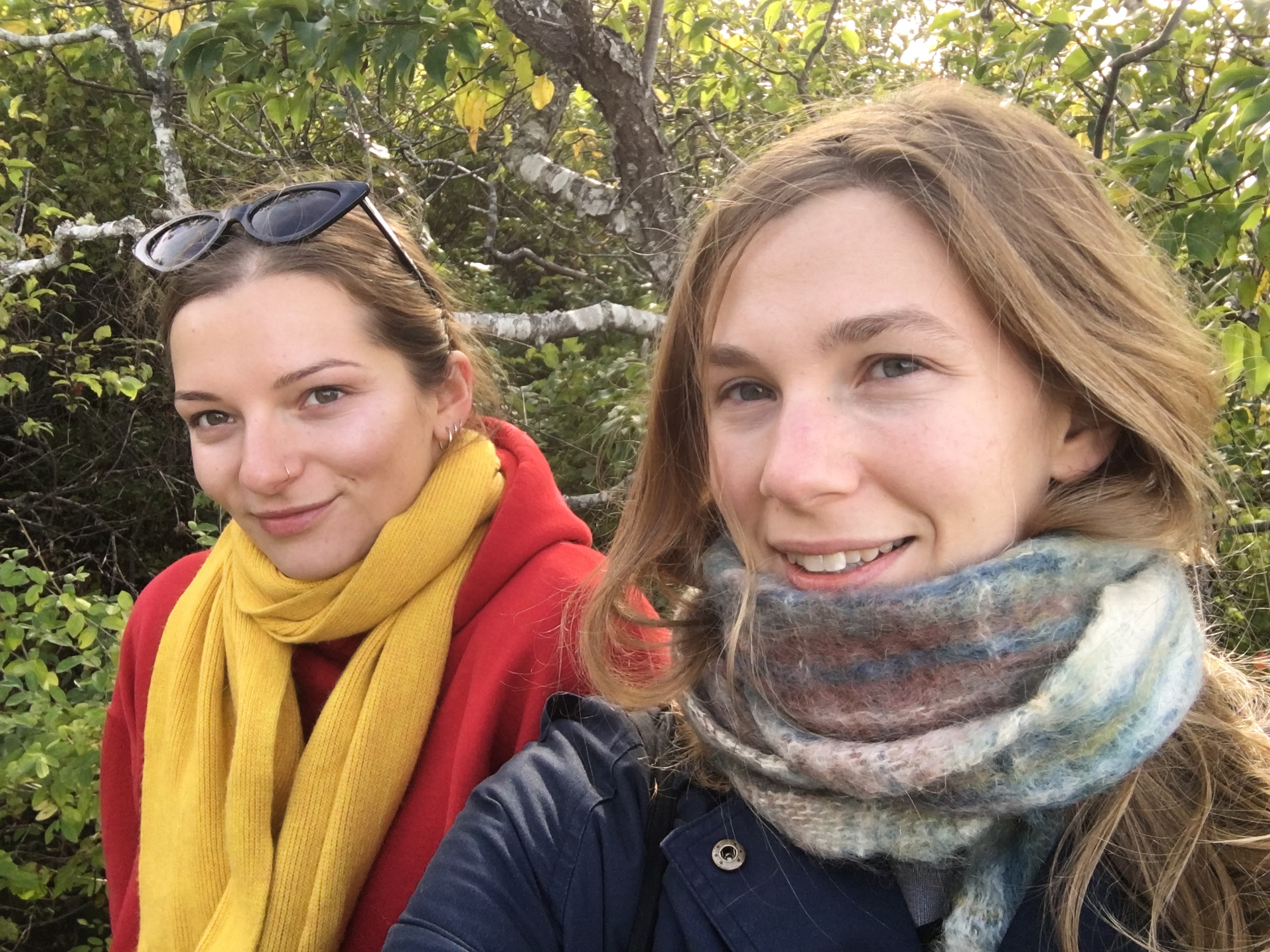 D61e89472accf9cee1f00d9783c9519c2edaa1a8