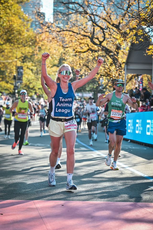 D73bdefe36b1dbc72d0f431b3355ed087ece95ff