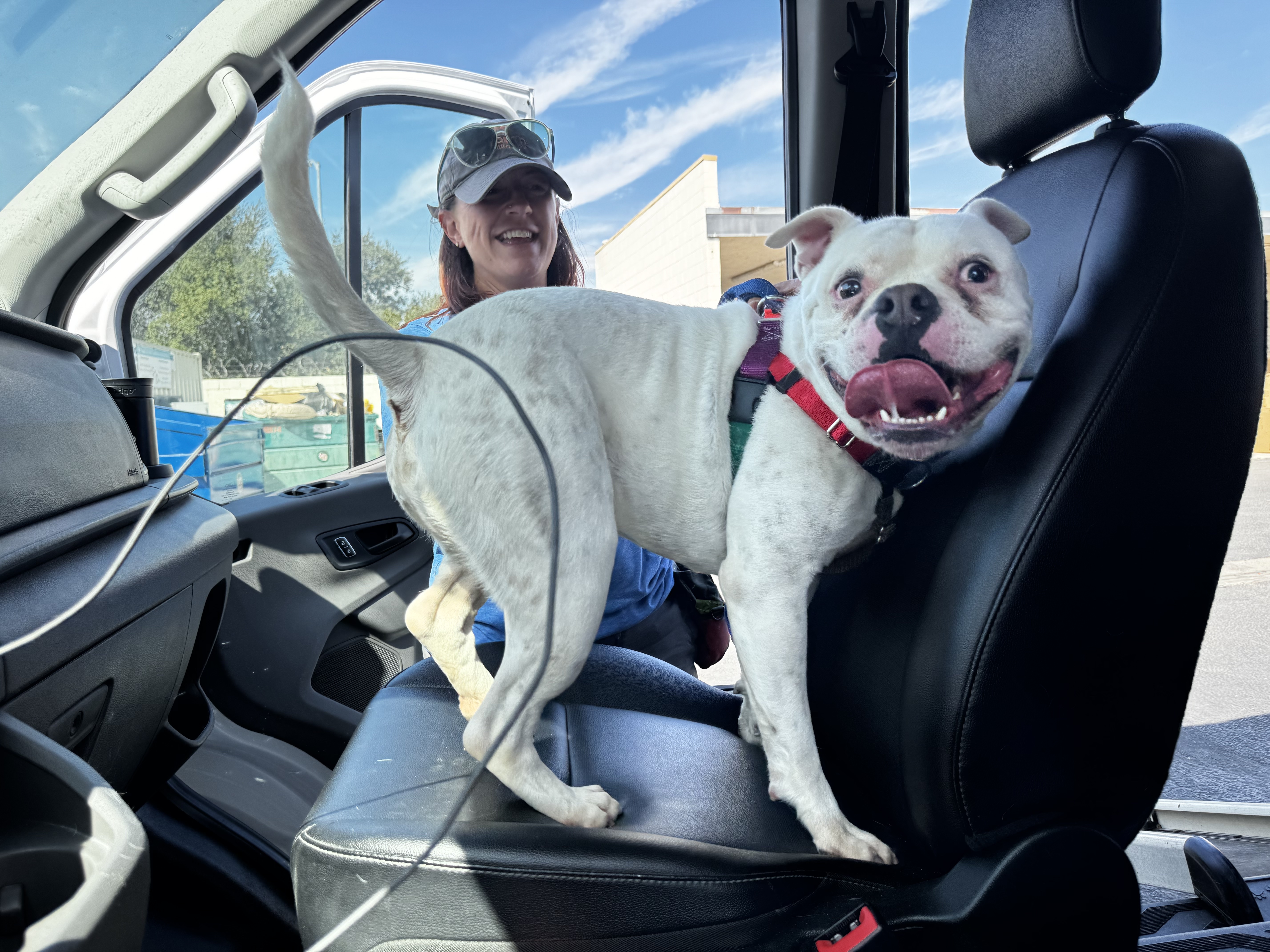 Ddde330ac0c26d21be08f8dccc9b6223c64b3f03