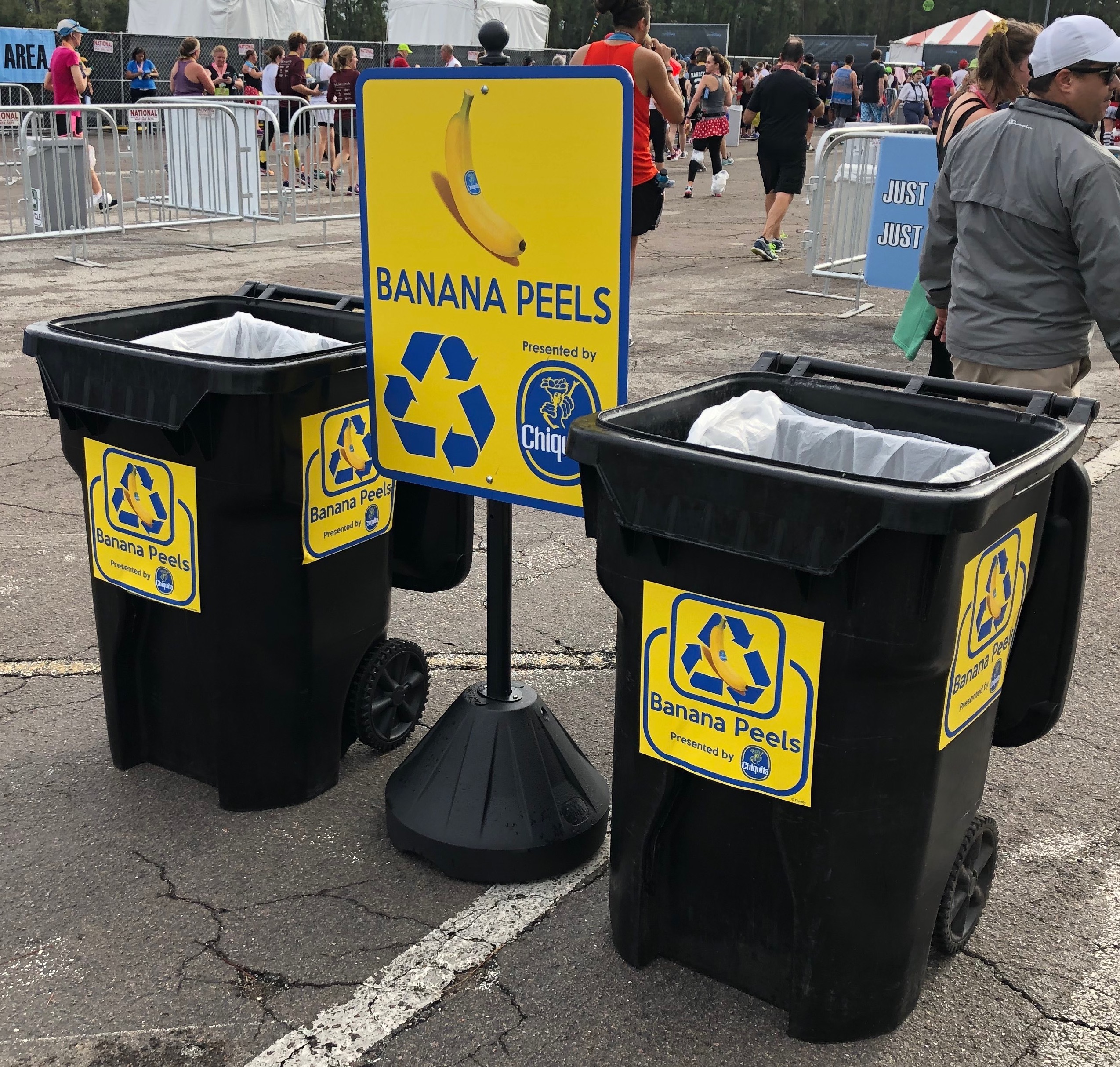 Disney Environmentality 