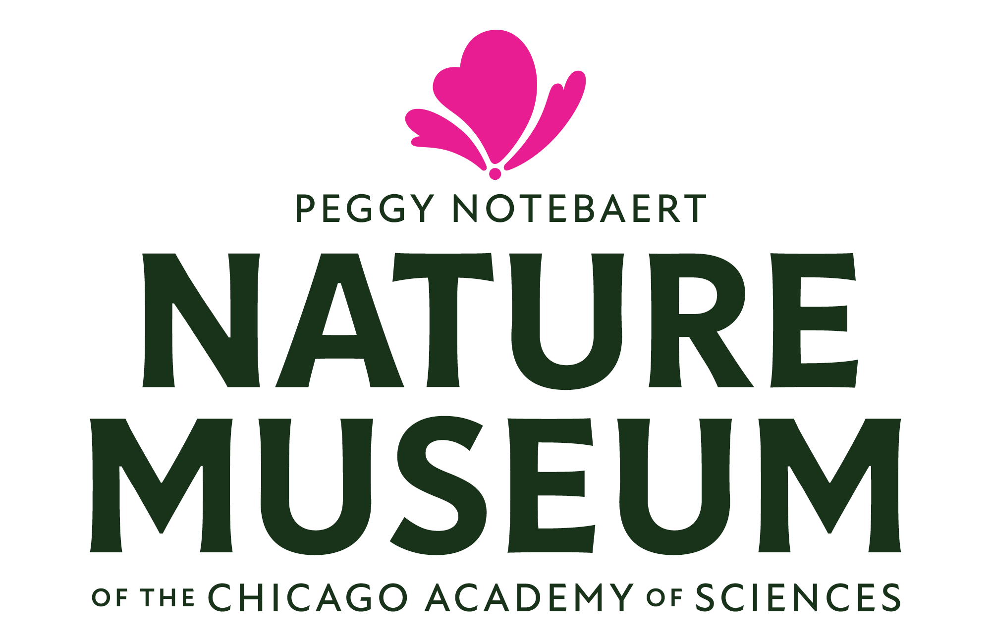 E3085312419b1b1ecbe661d6cfd87aff791d8b6d