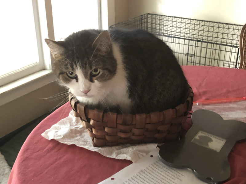 E76aa81eddf2fb36387ec24b914d920786db1420