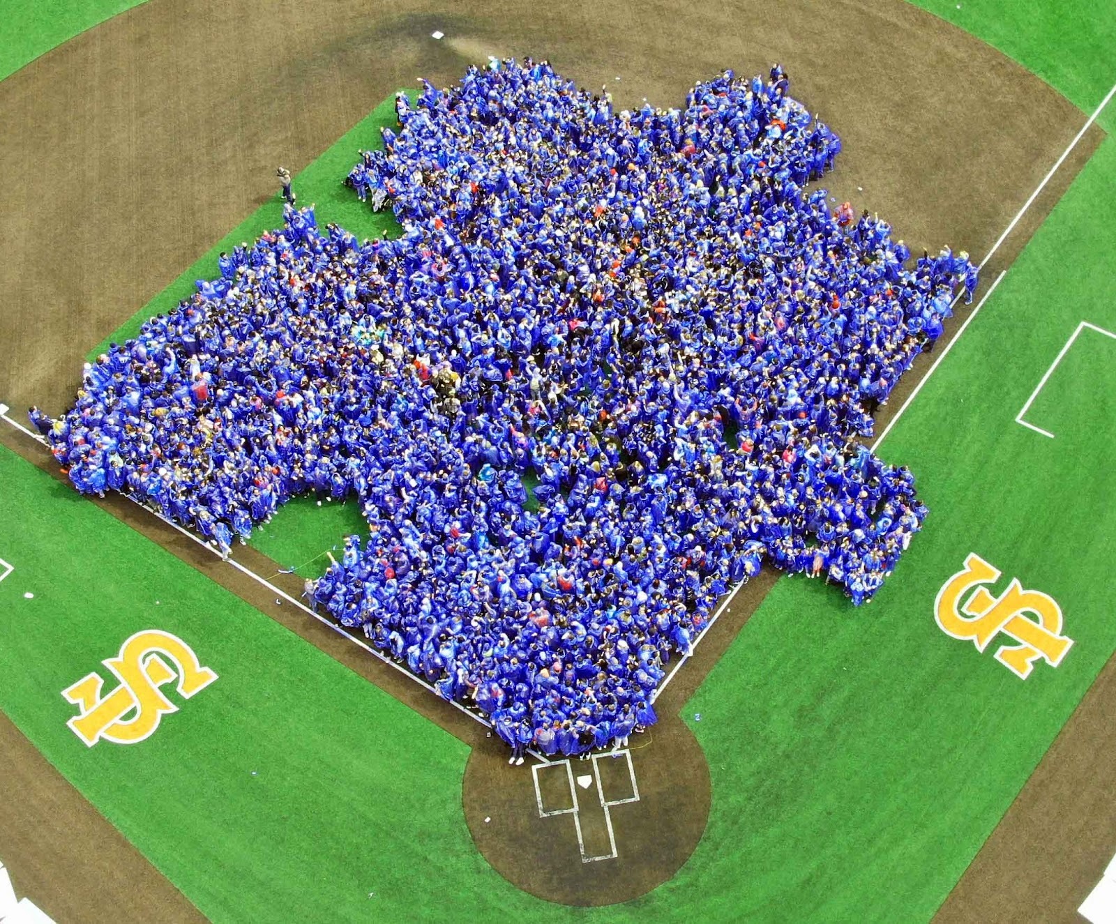 E77aae9bb789c8e20b638ec5b0f9a882f10ae304