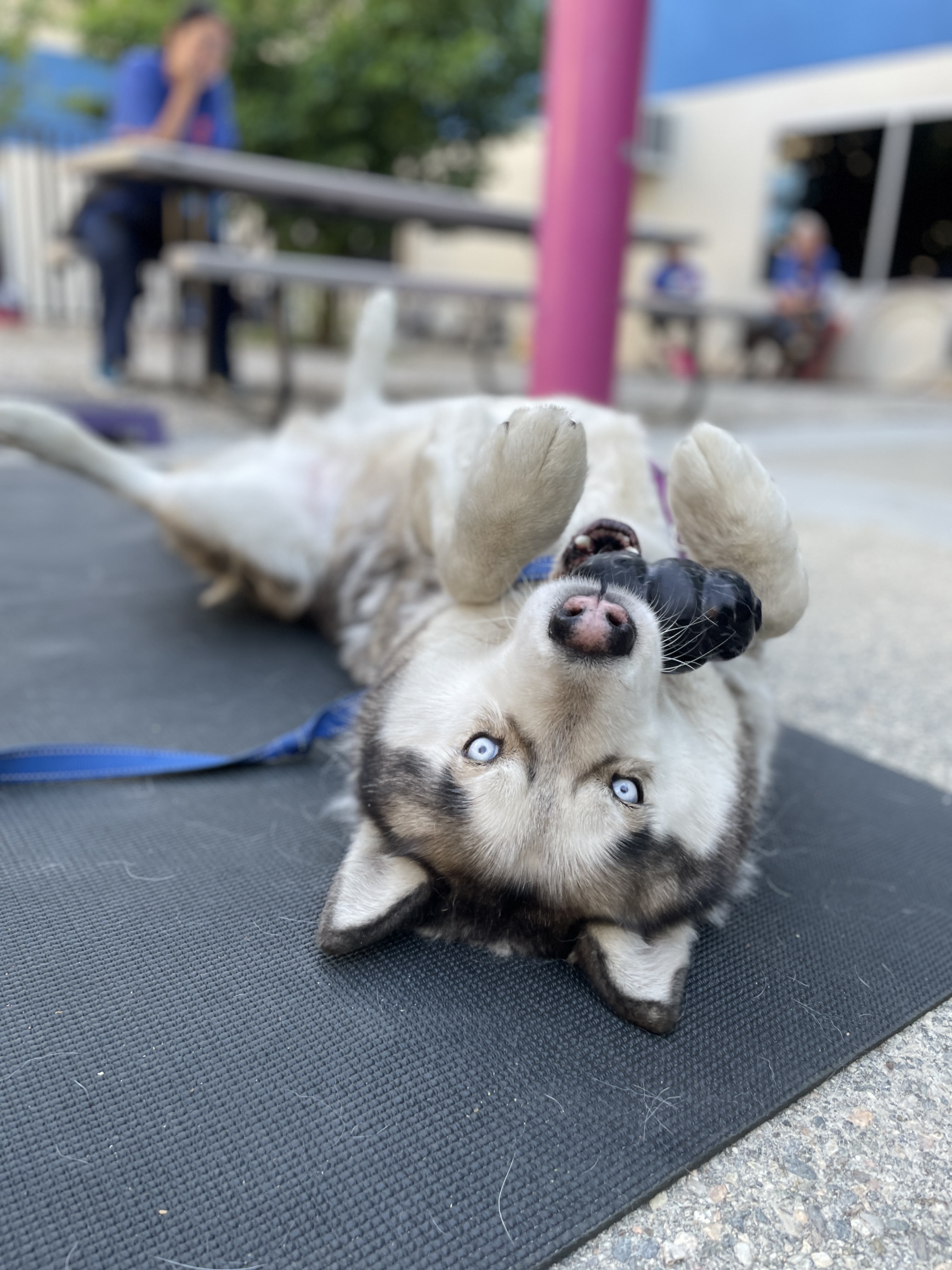 E7bdc1c33160bf59beaedaf1ae00200463e8bcf6