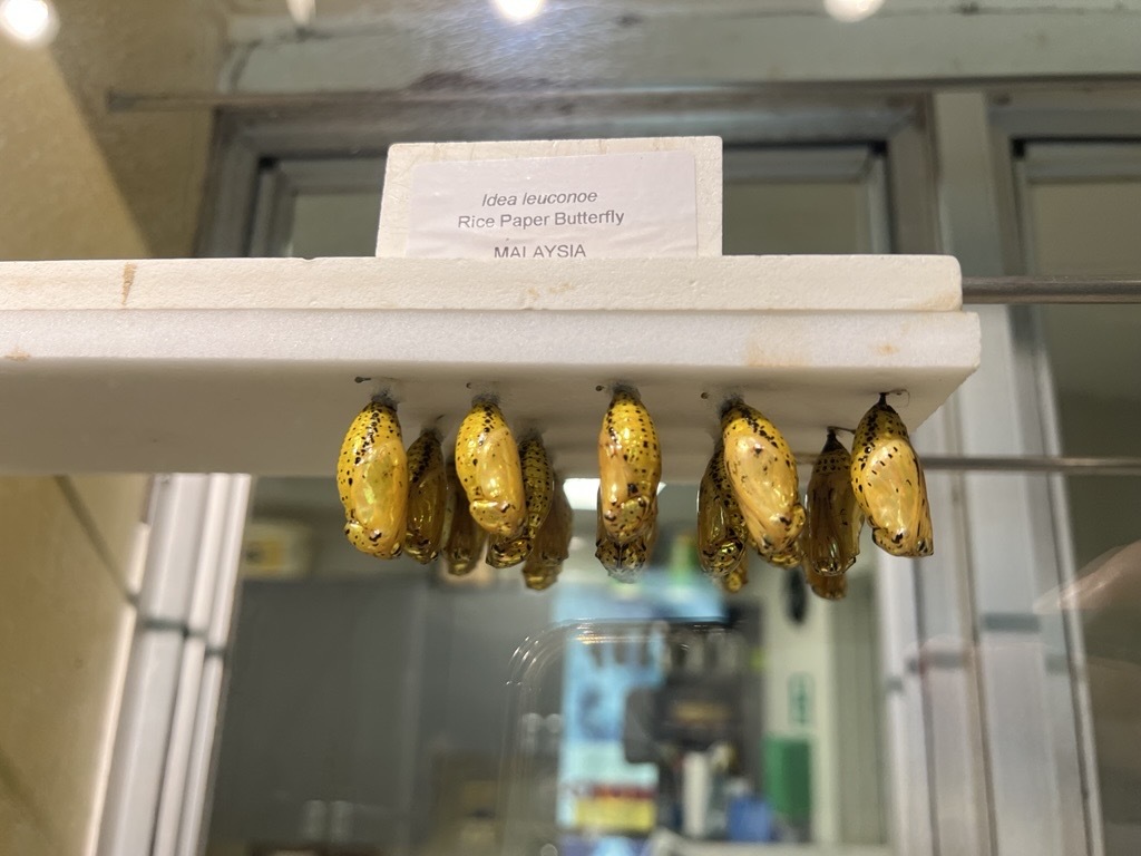 E9d0ff4cb0dc1b19bbb9d06a59be0566b2748386