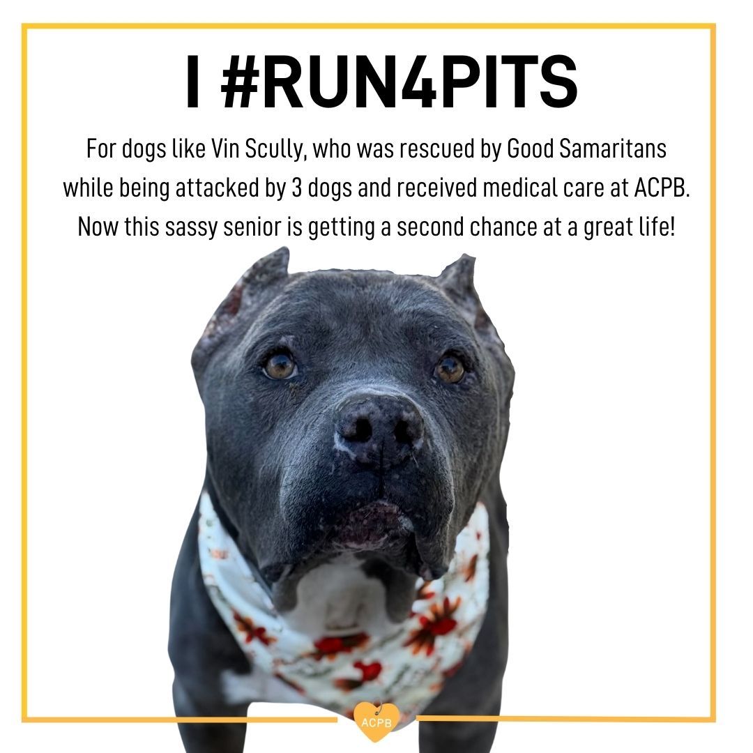 Ea23e30b01bcfeaec39c172c7d3c95c62e092b7a