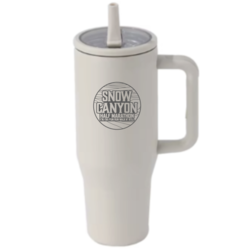 Stainless Steel Tumbler with Handle and Flip Straw Lid