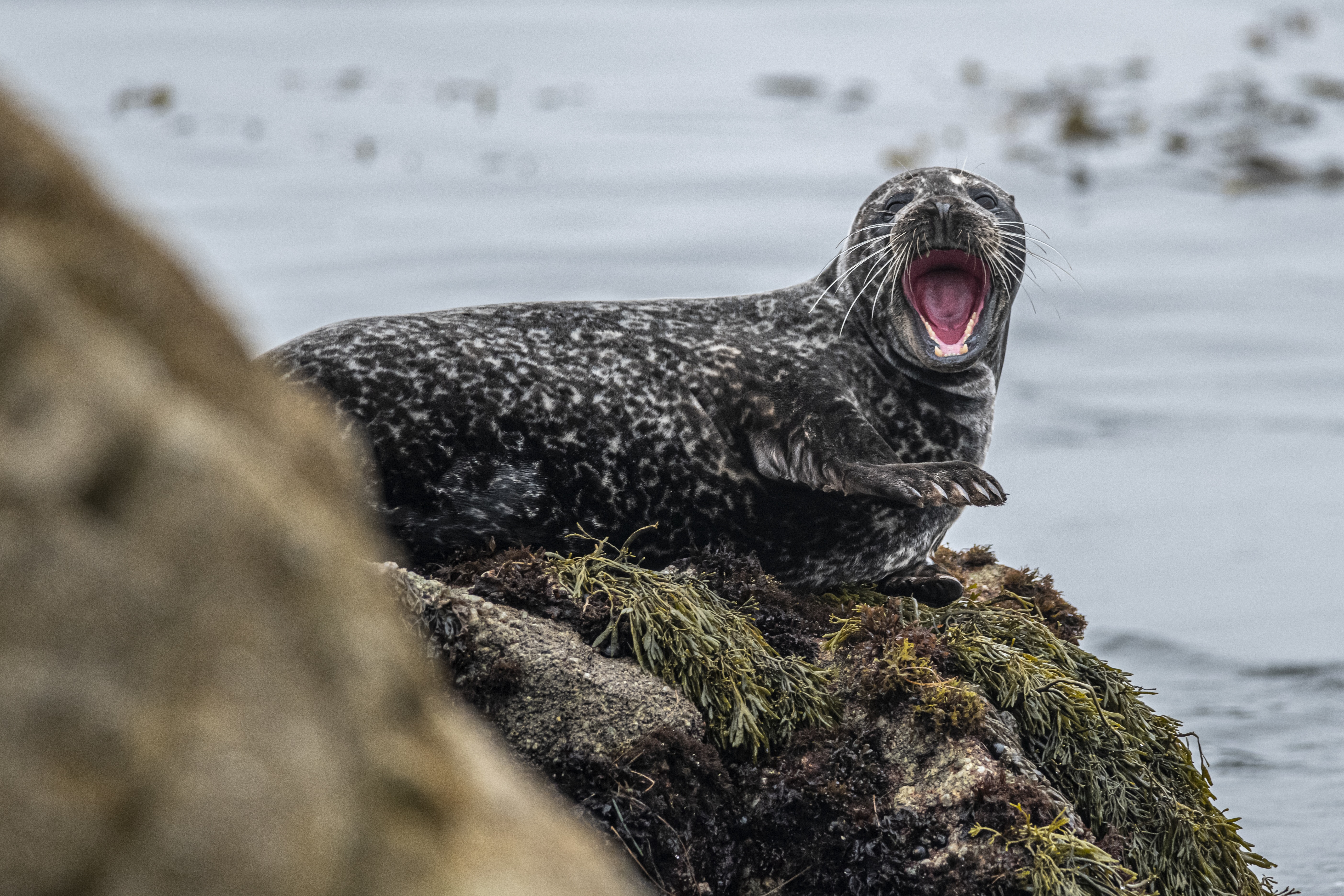 Ec74ac4fd536f537cf273d4133c9c71f14ea6a5a