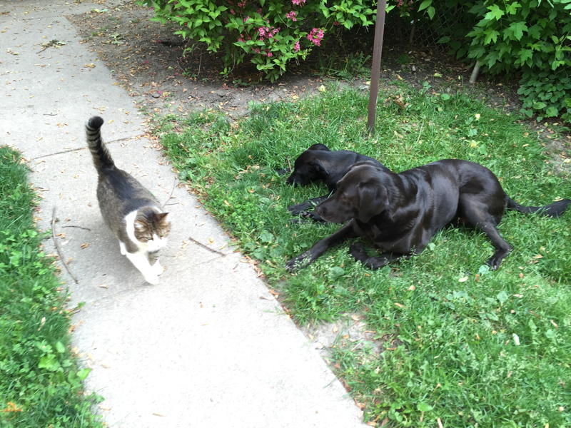 Ed8b4e4d3755d070ff4fdd9b3f7b535ffe3ef5d2