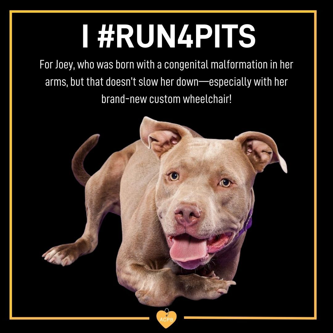 Ee4fe2ff90a895cc5e2993f1a19de27f3fa30b38