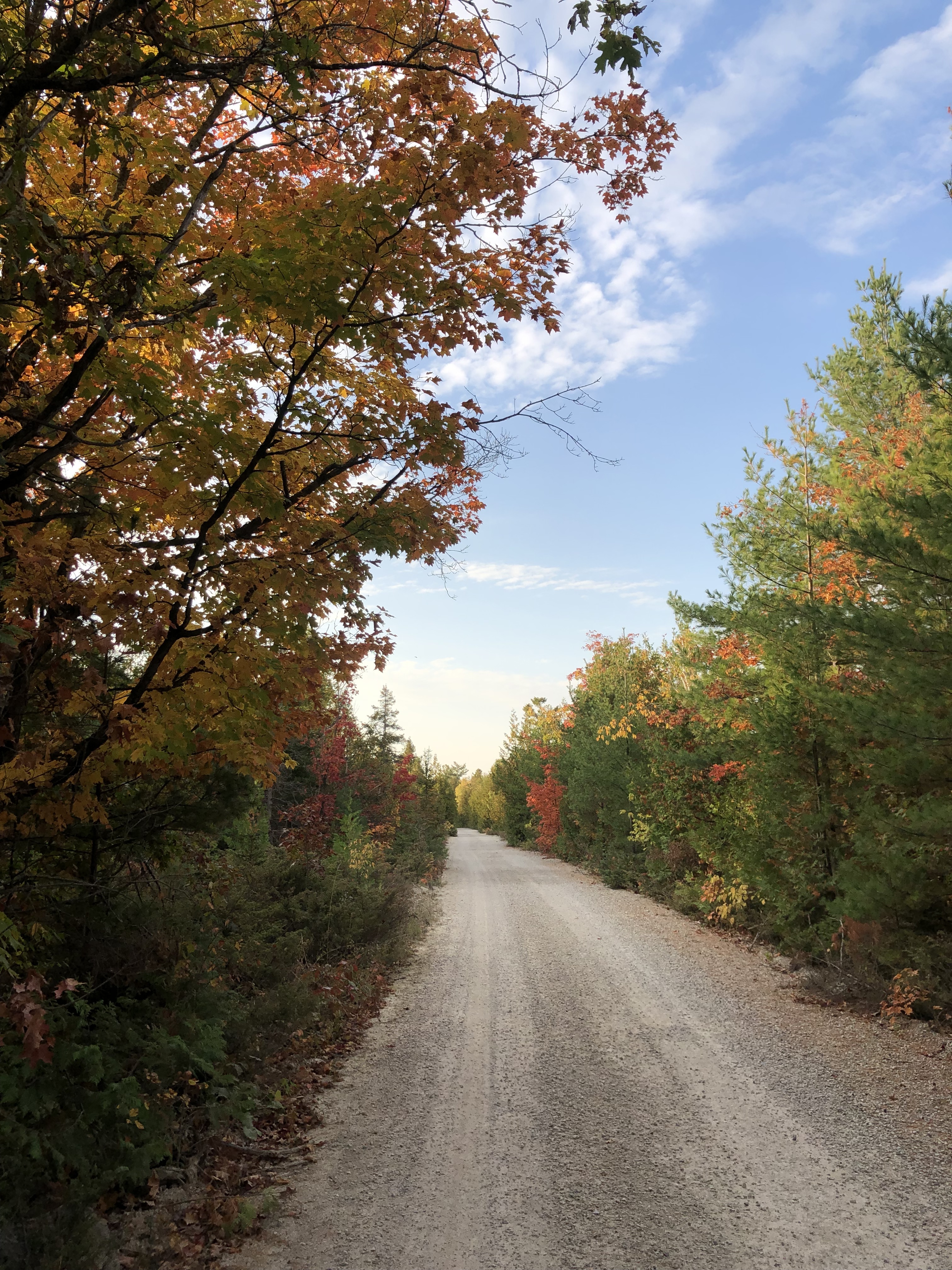 F1a0f06a0012c3dec8e626d6bbad10e8dfb384ca