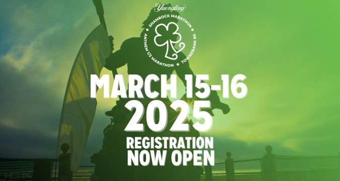 F40fad76bc7ff8e8a401260487a0661c48b656eb