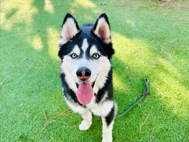 F4834502baed43377c0e6092ce889550d2a44d2f