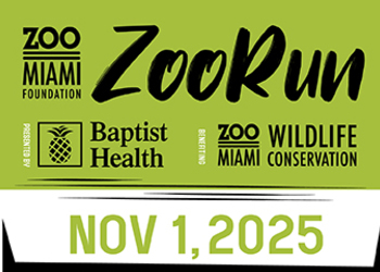 ZooRun 2025