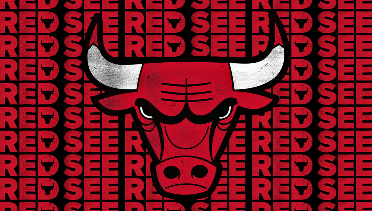 Chicago Bulls Logo