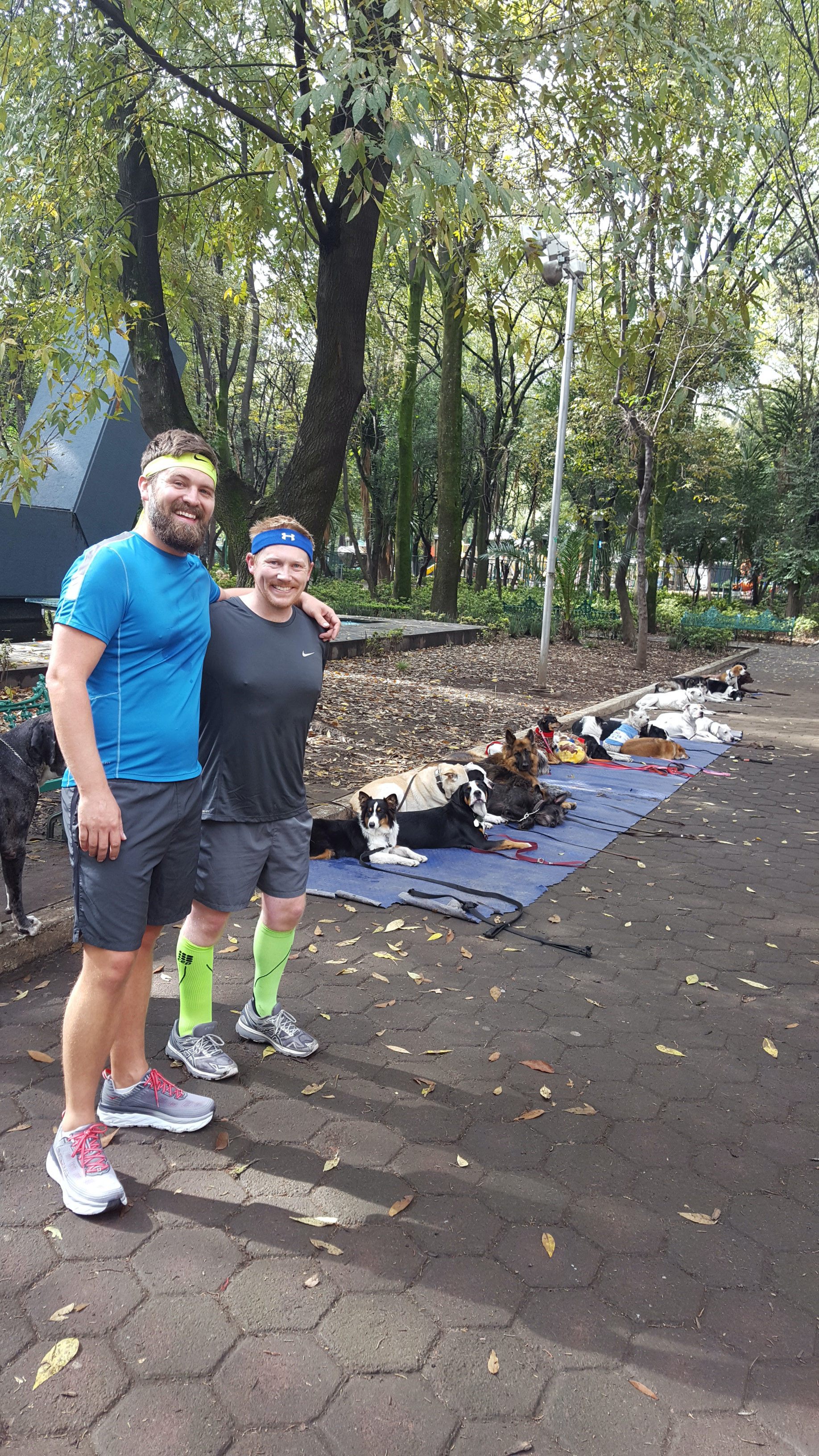 F56805242a47117921c940a5bf99243e13c9baa4