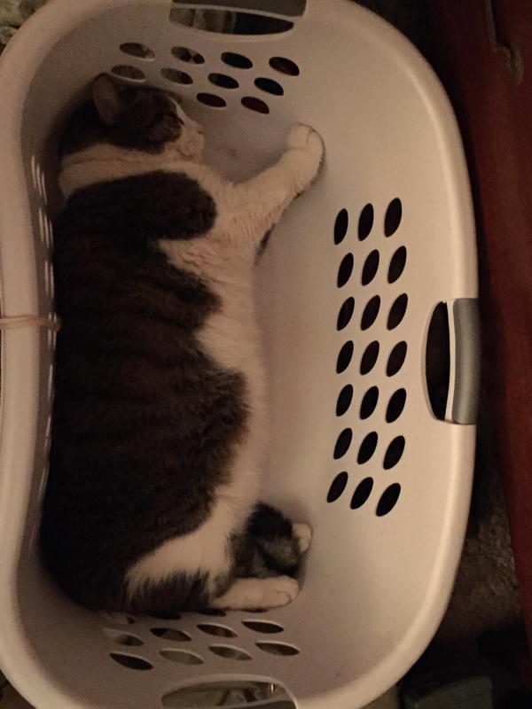 F680ab7cce323dc4fc4a34a158396f63c60015b2