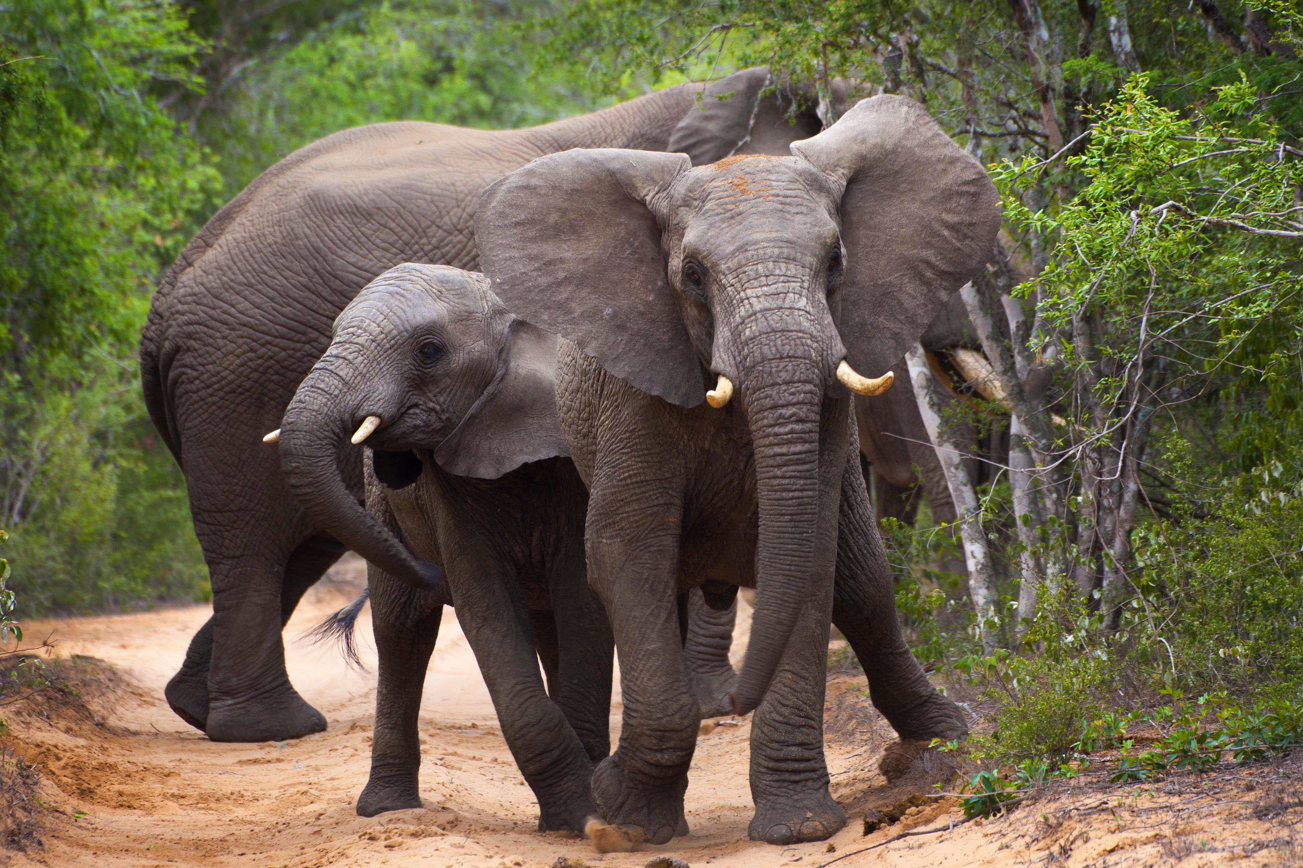 F7ea447016dab44469438d09a263f8d28b48571d