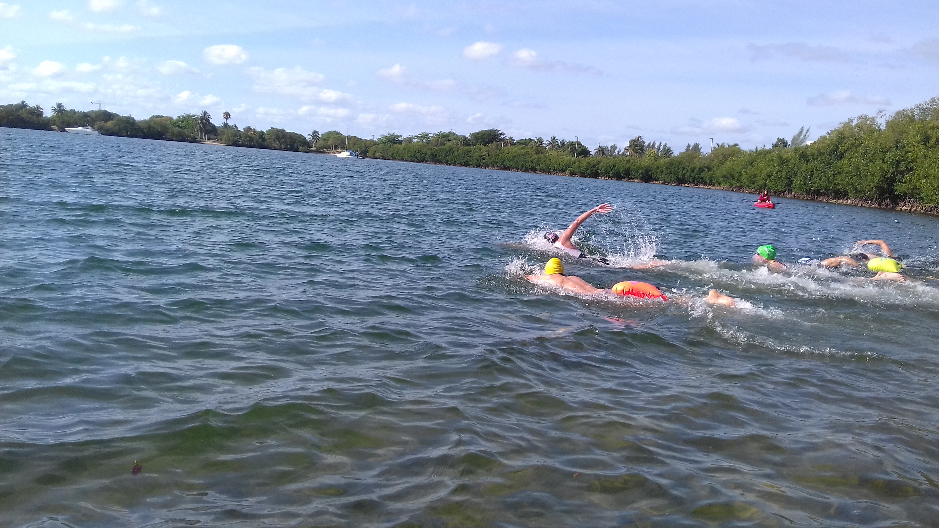 Biscayne Bay Open Water Swim