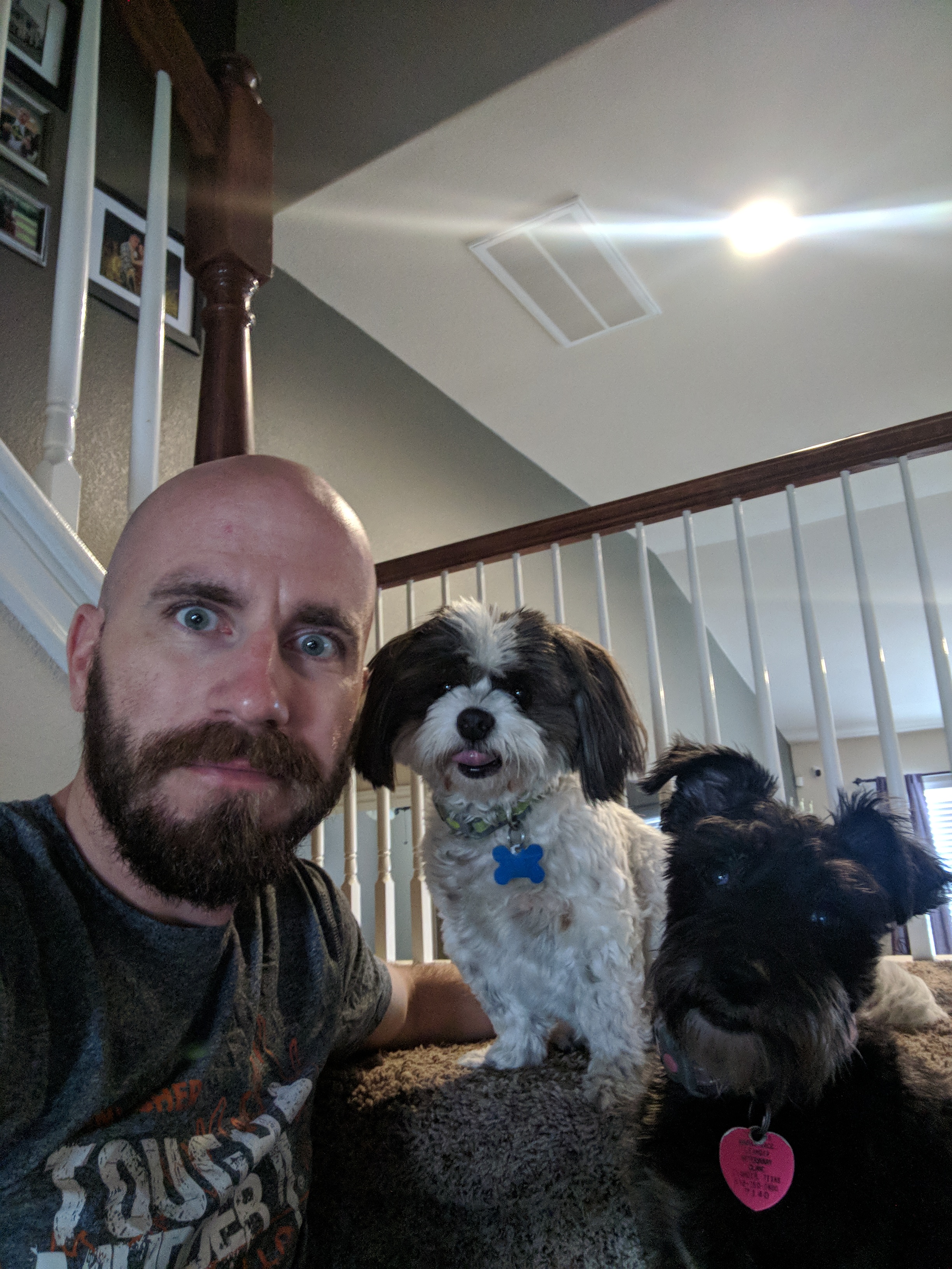 Fb312cca4874e32e618c9a716de1ac3fe40c611e