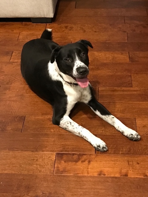 Fb6f5548b8440b7f9d6747241f936a0afa0ed6fd