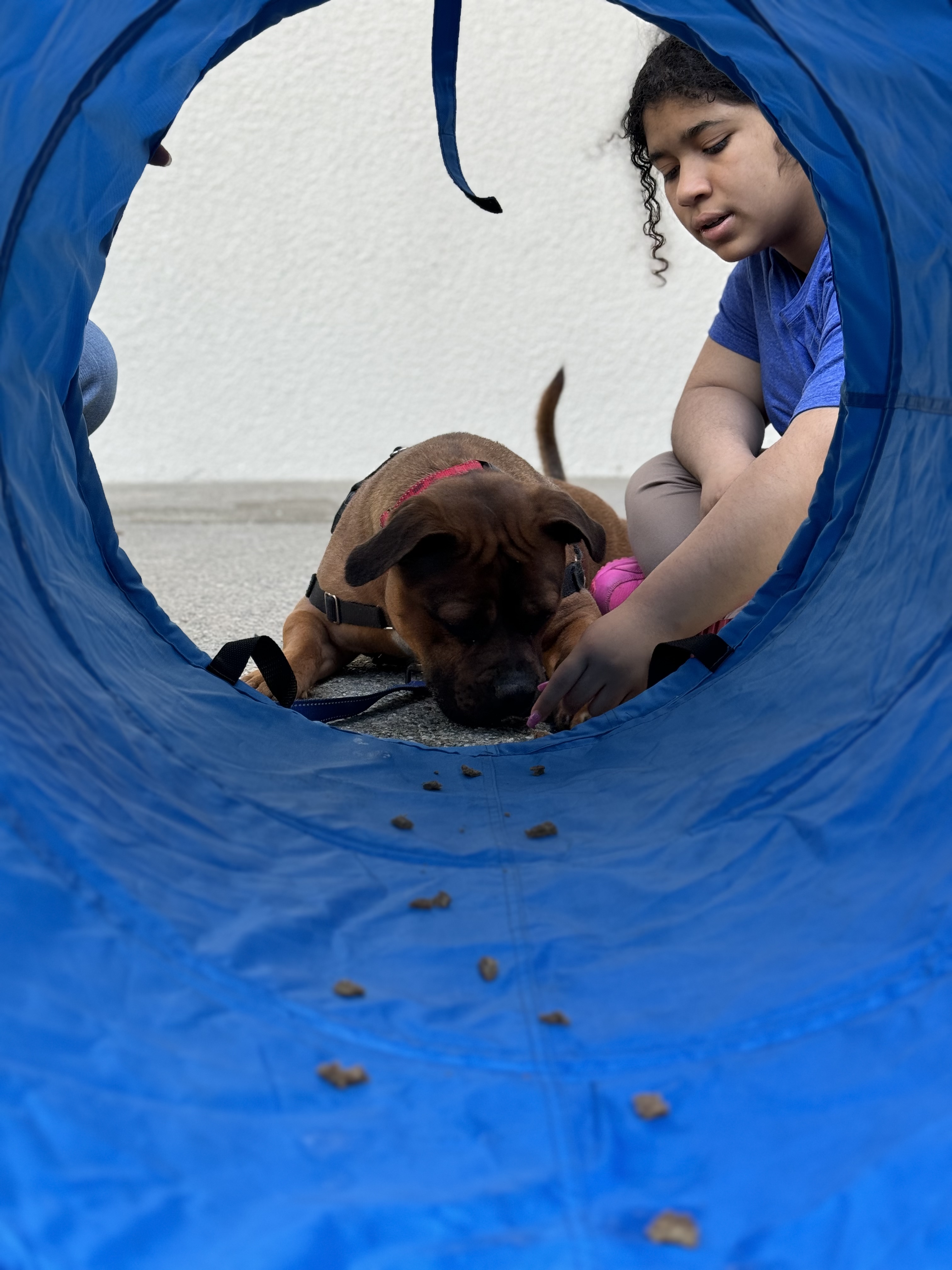 Fbeb6b4892f4fc2da8efea1bd5f957089007b192