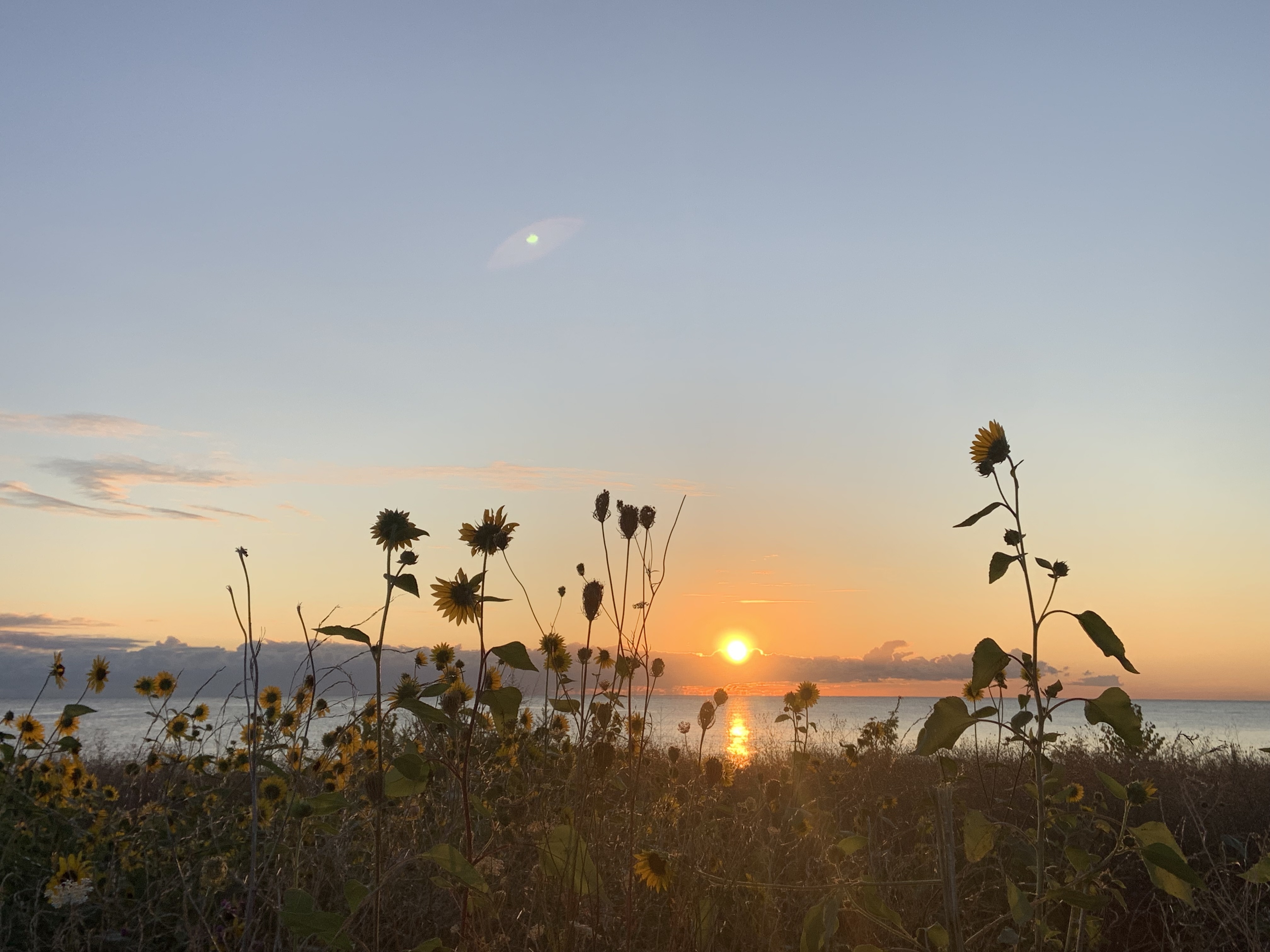 Fcc1b55fc2d73340da19698d787f21d7e6710035