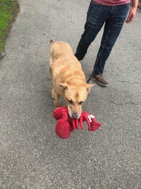 Fdeffcd04cf26334130d2f492c0a4f2fa495c4e0