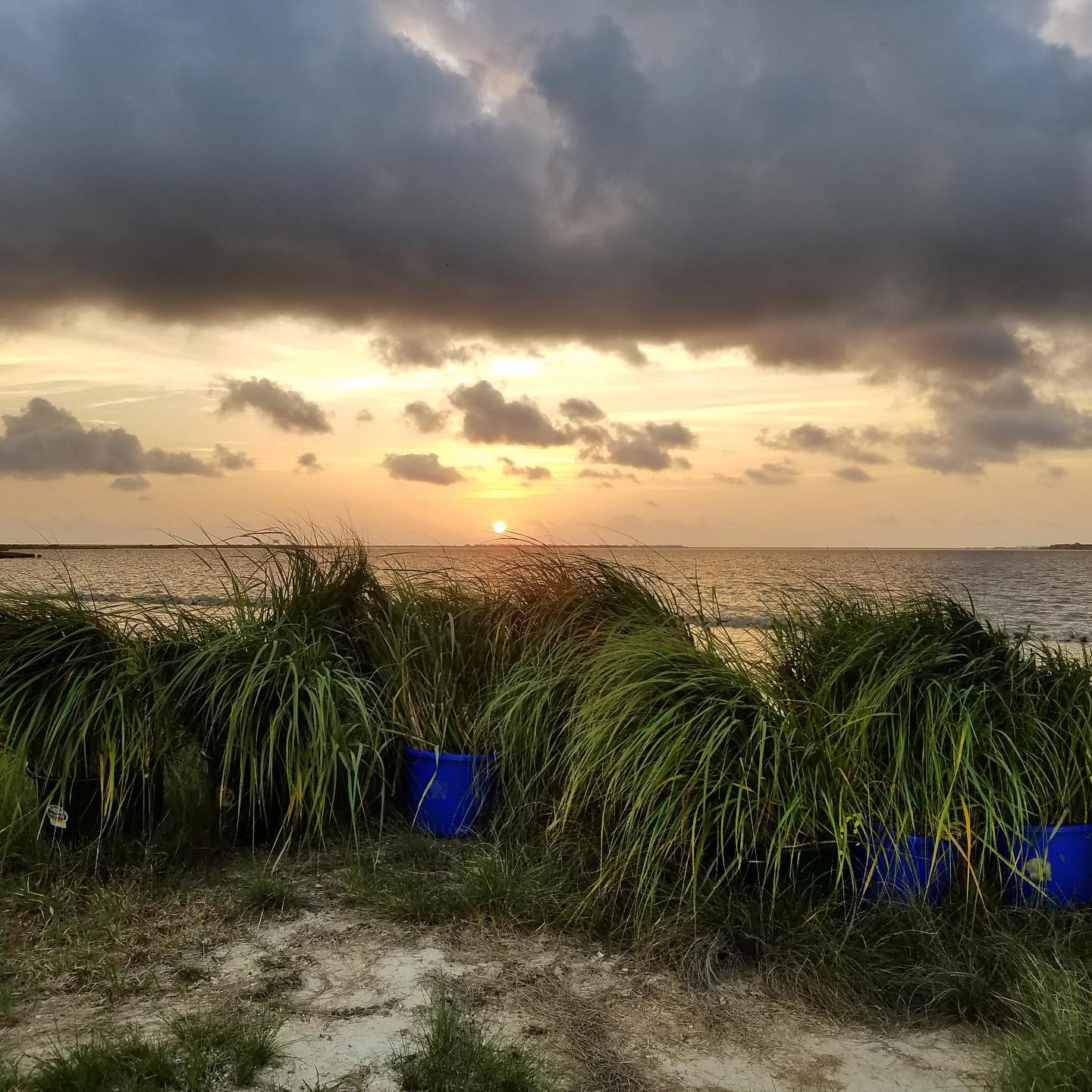 Fe44ce27ab93b92fe882711abacf0acc14af71e5