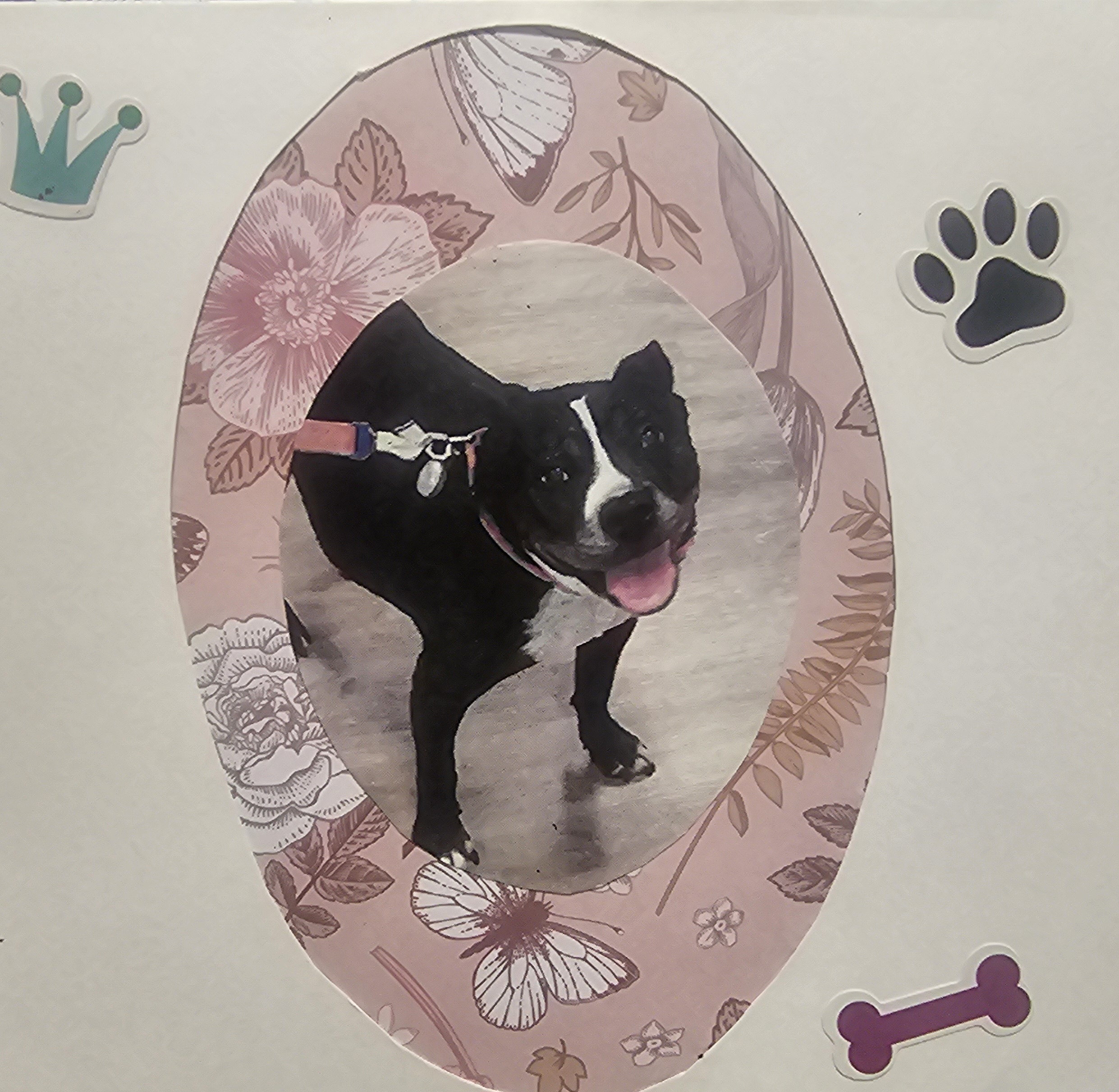 Fe56c01ec3375dd677a0c9ba472f10939f410cdd