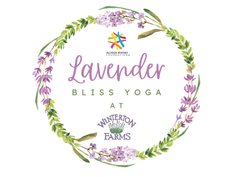 Lavender Bliss Yoga at Winterton Farms
