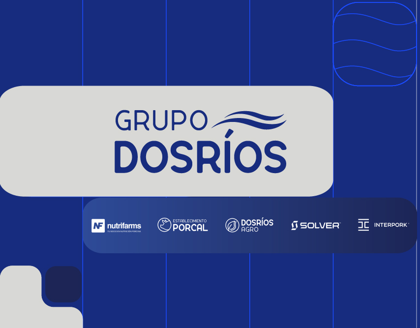 Dos Rios Partners Ofertas de Empleo y bolsa de trabajo | Halaxia.com | Halaxia.com