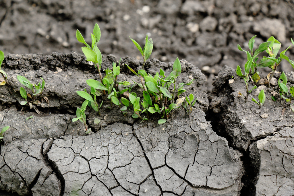 Foundations on Expansive Soils HalfMoon Education, Inc