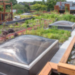 Minnesota Stormwater Best Management Practices and Resilience Planning