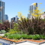 New York Stormwater Best Management Practices