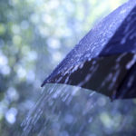 Stormwater Filter Strips and Swales: From Site Selection to Long-Term Maintenance
