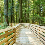 Accessible Trail Design, Construction, and Operation