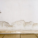 Water Damage Events: Scope, Risks, and Accountability in Remediation