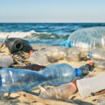 Plastic Pollution: What Is It and What Do We Do About It