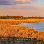 New Jersey Land and Water Law