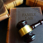 Florida Family Law Practice for Paralegals