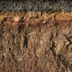 Design and Construction on Expansive Soils