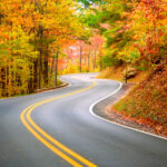 Roadway Design