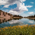Nevada Land and Water Law: Ownership and Access